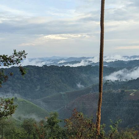 Nyungwe Village Kitabi Εξωτερικό φωτογραφία