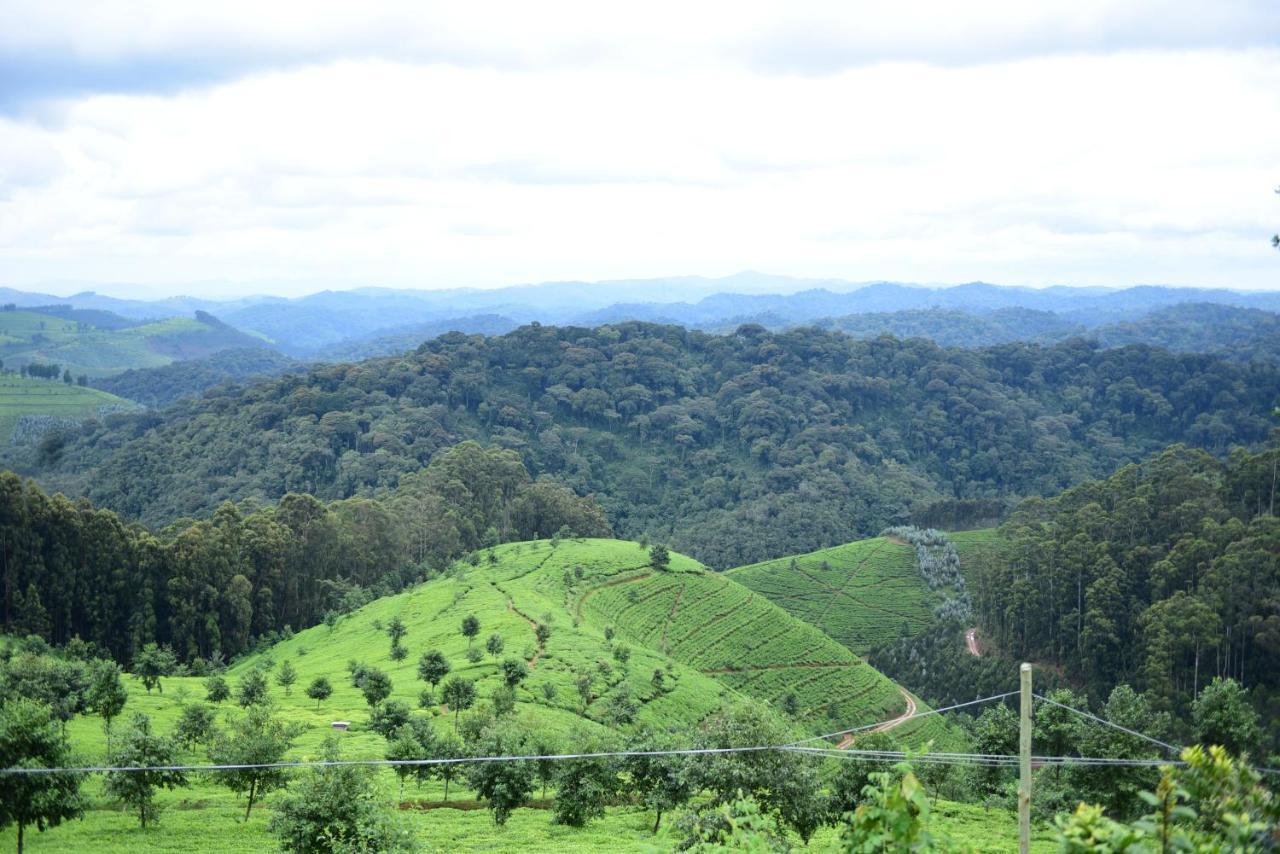 Nyungwe Village Kitabi Εξωτερικό φωτογραφία