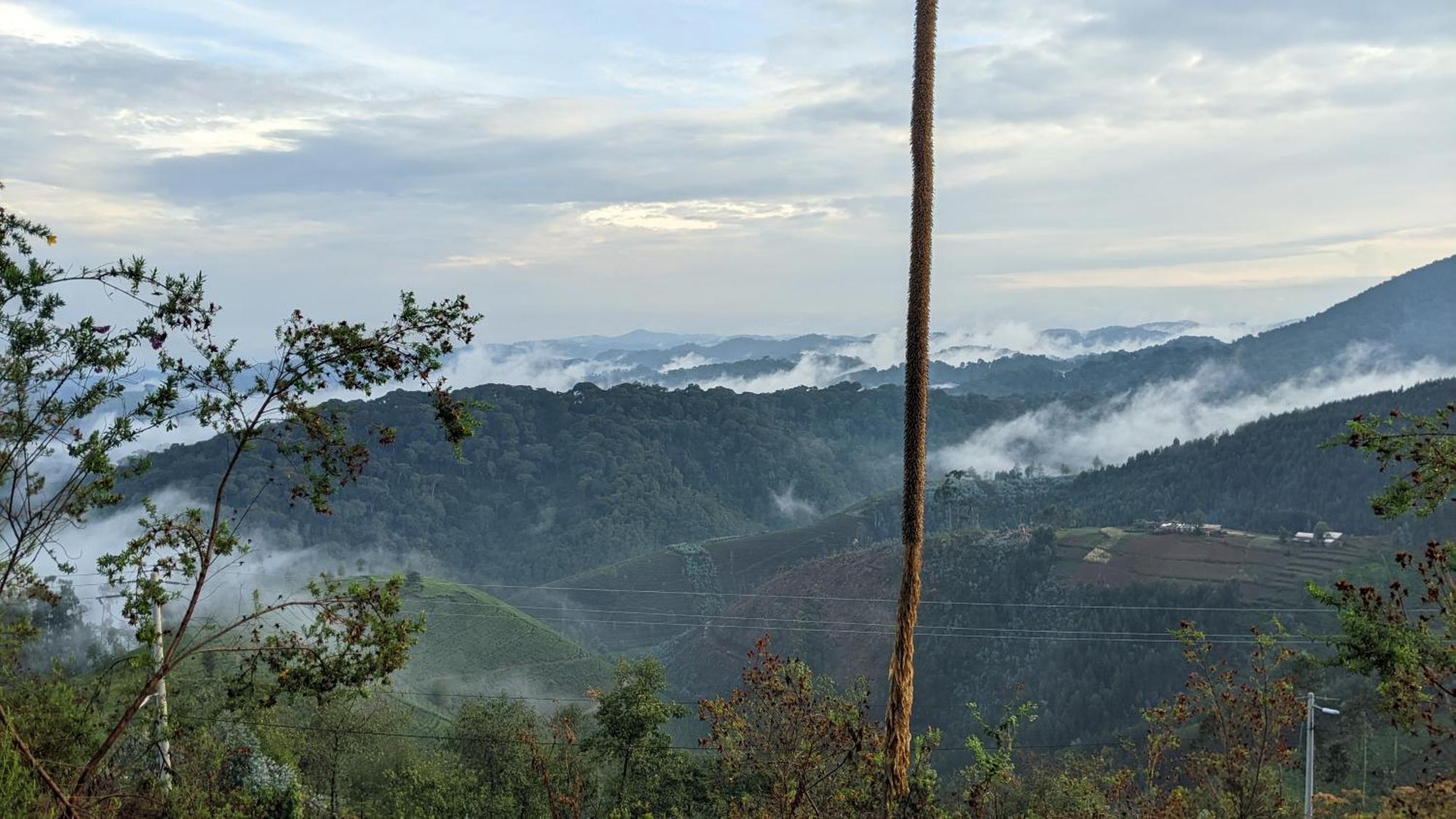 Nyungwe Village Kitabi Εξωτερικό φωτογραφία